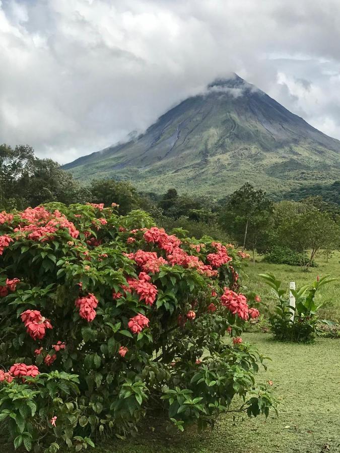 Arenal Roca Suites ラ・フォルトゥナ エクステリア 写真