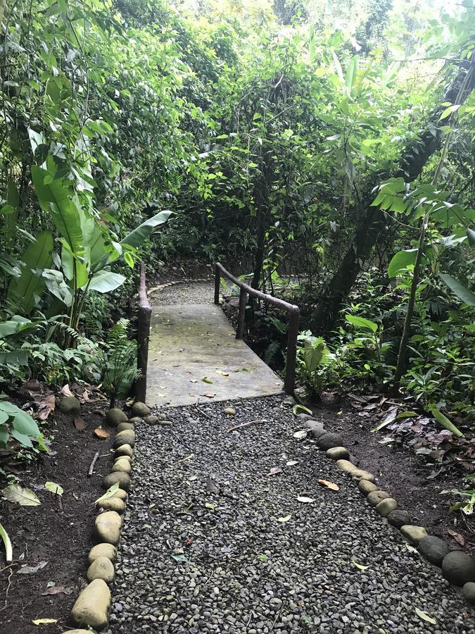 Arenal Roca Suites ラ・フォルトゥナ エクステリア 写真